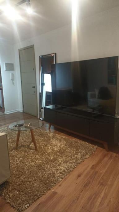 Lindo Y Comodo Dpto En El Corazon De Stgo , Al Lado De Metro Baquedano 1001 Apartment Santiago