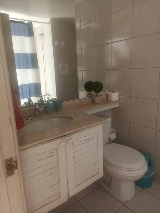 Appartamento Lindo Y Comodo Dpto En El Corazon De Stgo , Al Lado De Metro Baquedano 1001